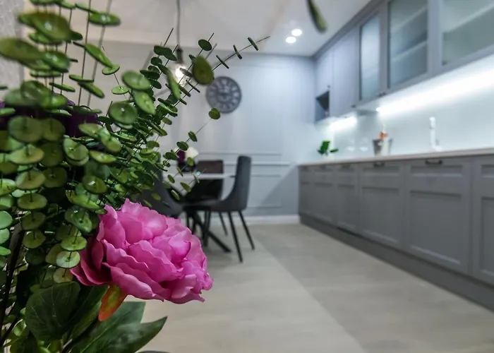 Divine Luxury Blue アパート ザダル