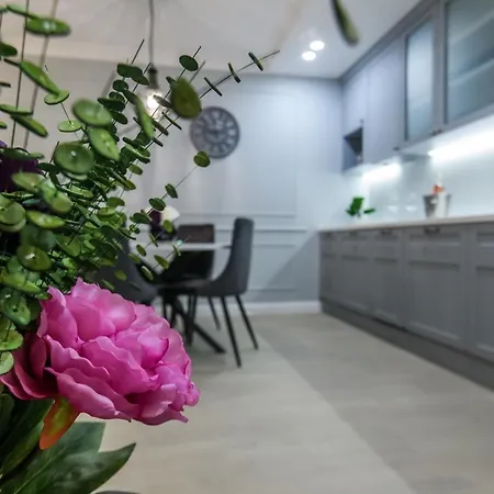 Divine Luxury Blue Apartman Zadar